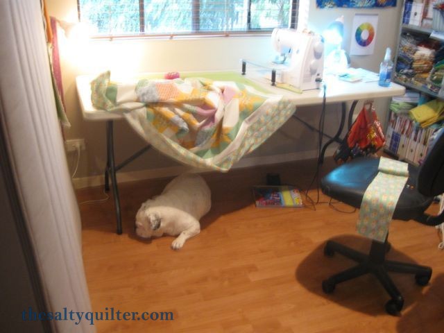The Salty Quilter - Sunny Stars - Piecing the quilt with my helper bulldog