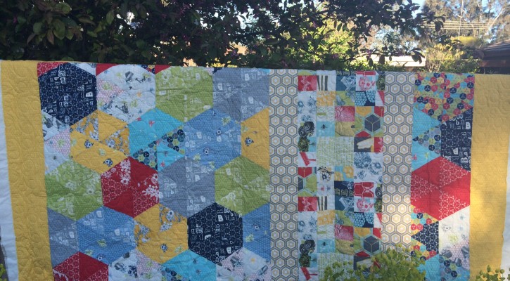 The Salty Quilter - Bee's Knees - Quilting done