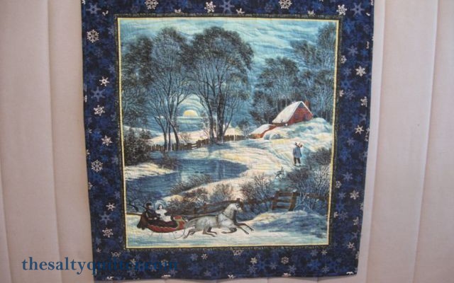 The Salty Quilter - Winter Wonderland Panel - Finished